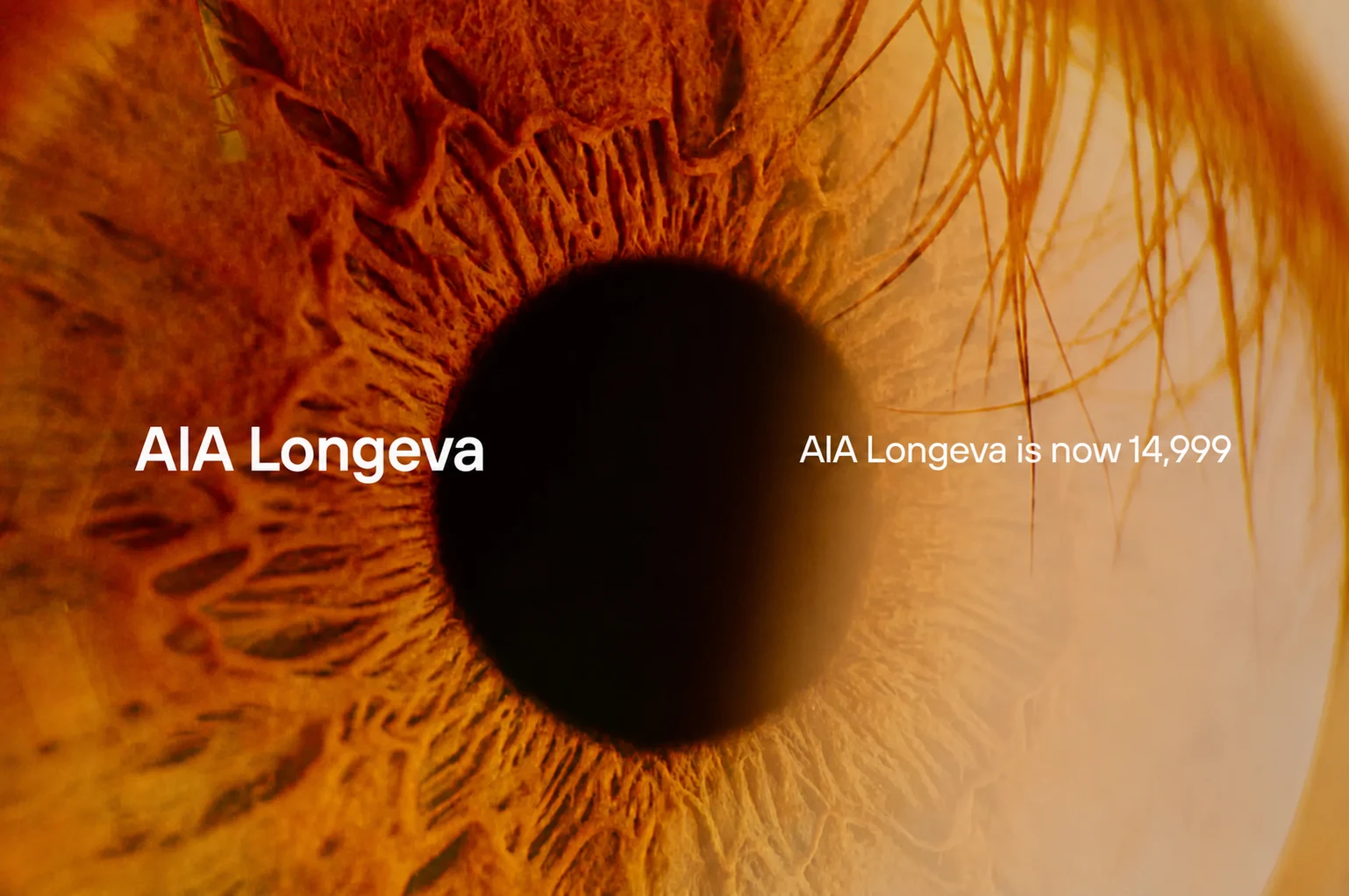 AIA Longeva what's included banner showing the membership offering